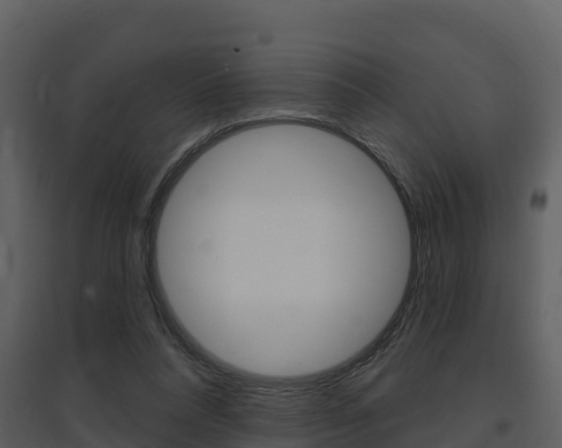 X0000097850304200803140903