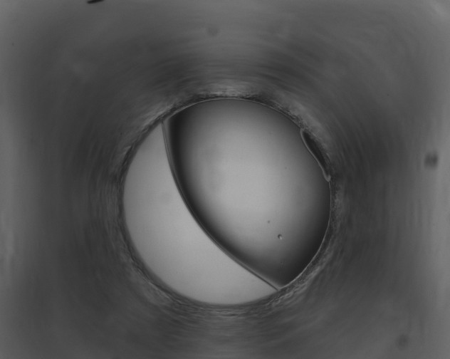 X0000097850305200803140903