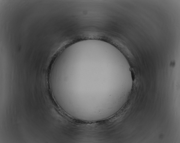 X0000097850306200803140903
