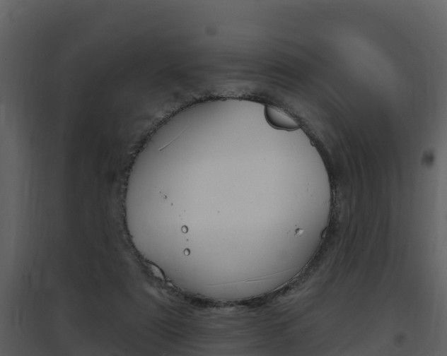X0000097850307200803140903