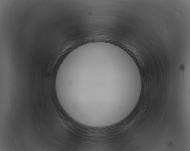 X0000097850308200803140903