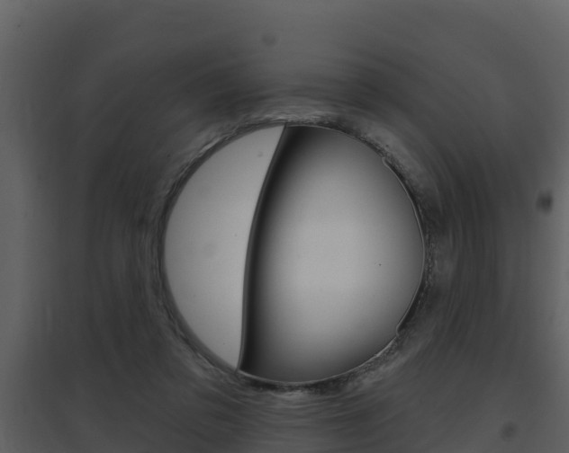 X0000097850309200803140903