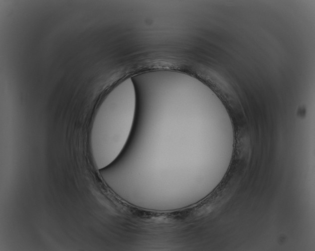 X0000097850310200803140903