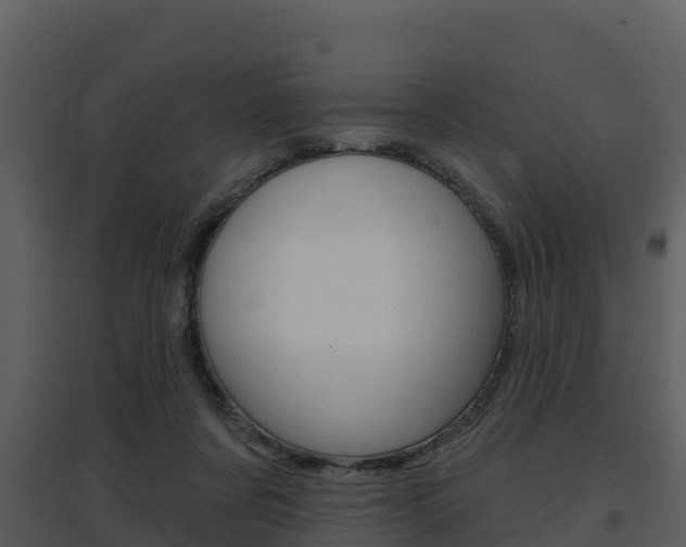X0000097850311200803140903