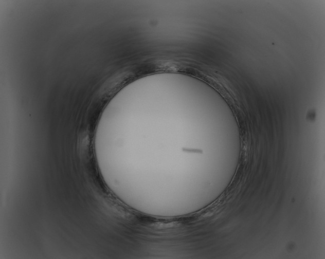 X0000097850314200803140903
