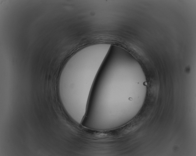 X0000097850315200803140903