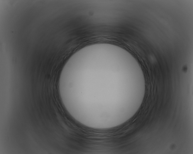X0000097850316200803140903