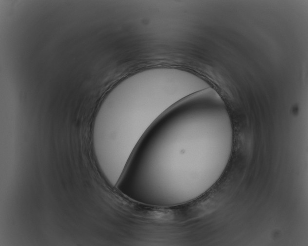X0000097850317200803140903