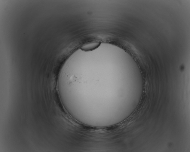 X0000097850318200803140903
