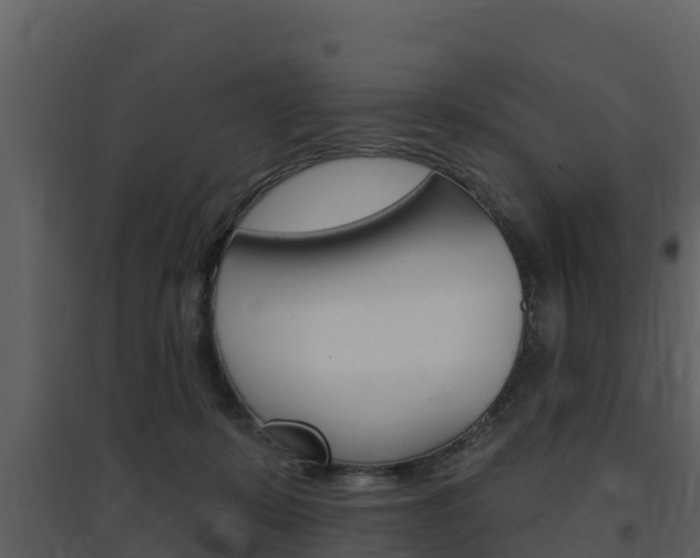 X0000097850319200803140903