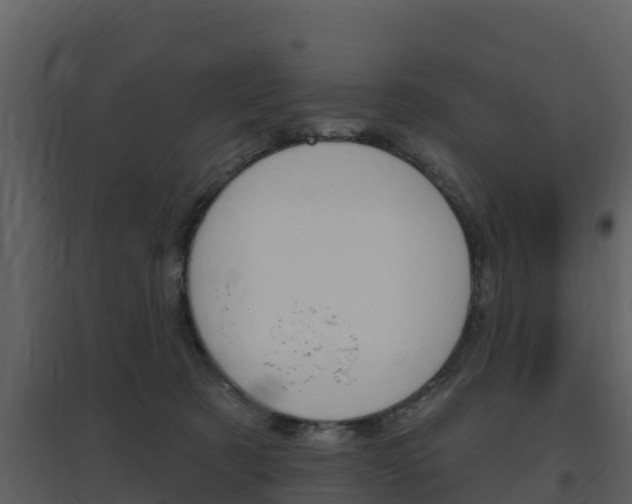 X0000097850321200803140903