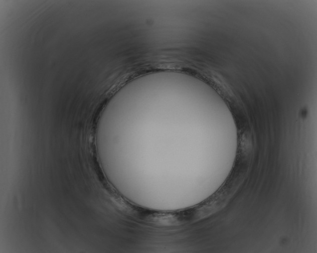 X0000097850322200803140903
