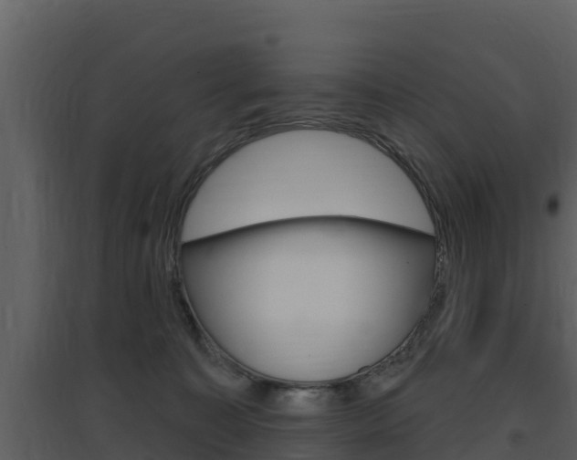 X0000097850323200803140903
