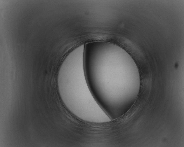 X0000097850325200803140903