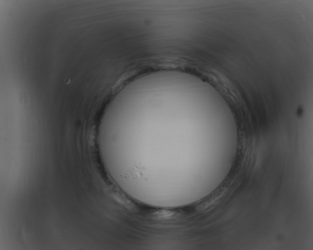 X0000097850326200803140903
