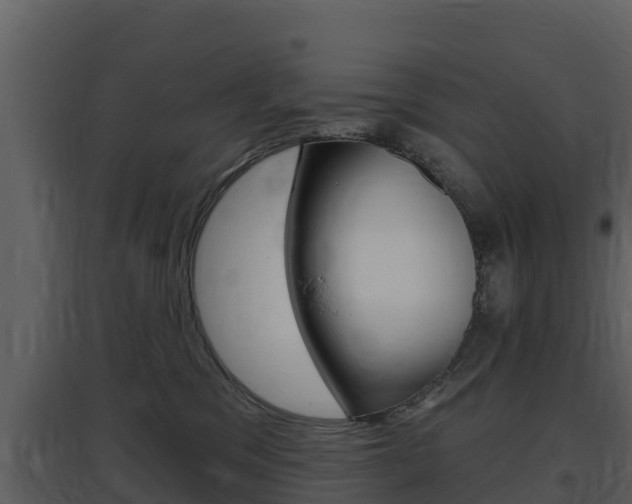 X0000097850329200803140903