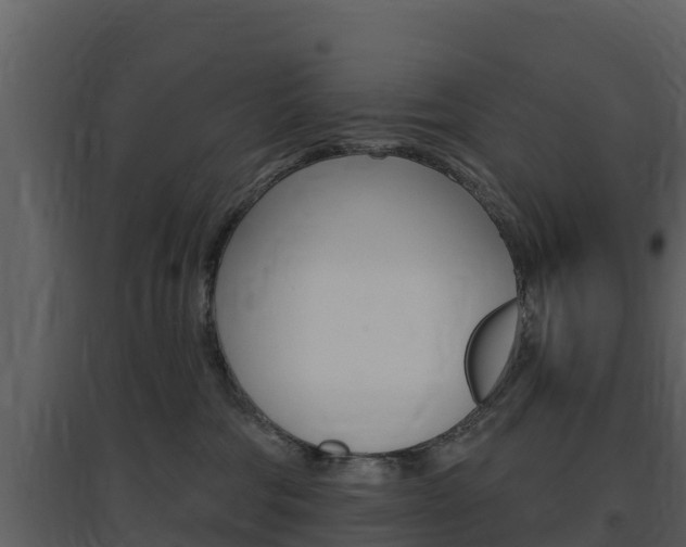 X0000097850330200803140903