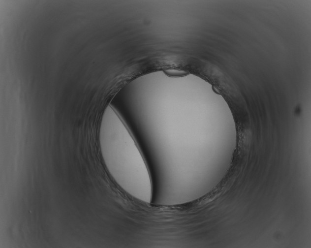X0000097850331200803140903