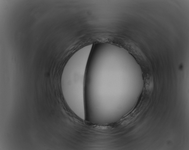 X0000097850332200803140903