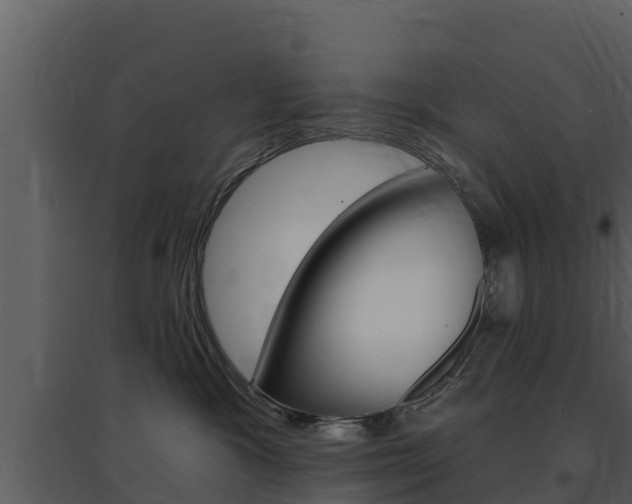 X0000097850333200803140903