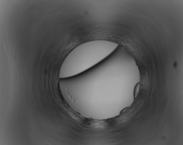 X0000097850334200803140903