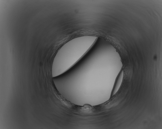 X0000097850335200803140903