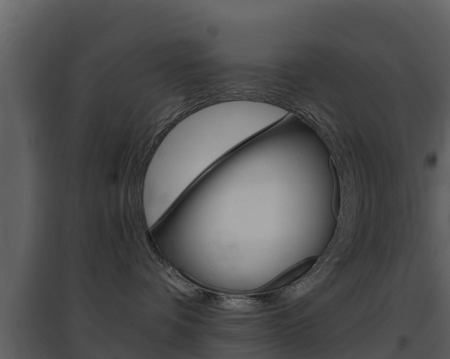 X0000097850336200803140903