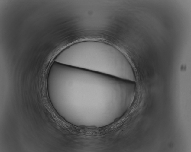 X0000097850337200803140902