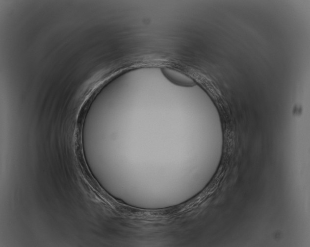 X0000097850338200803140902