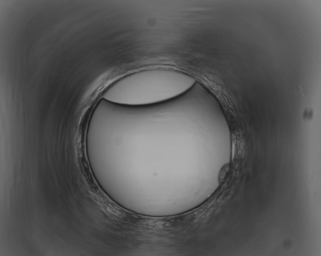X0000097850339200803140902