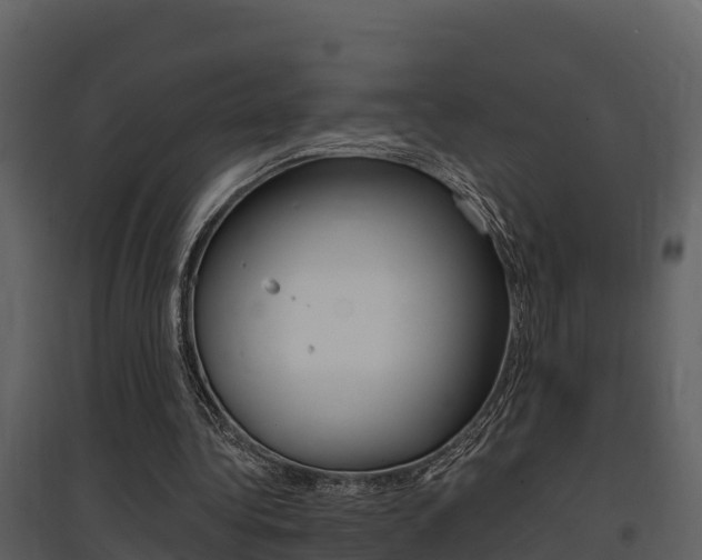 X0000097850340200803140902