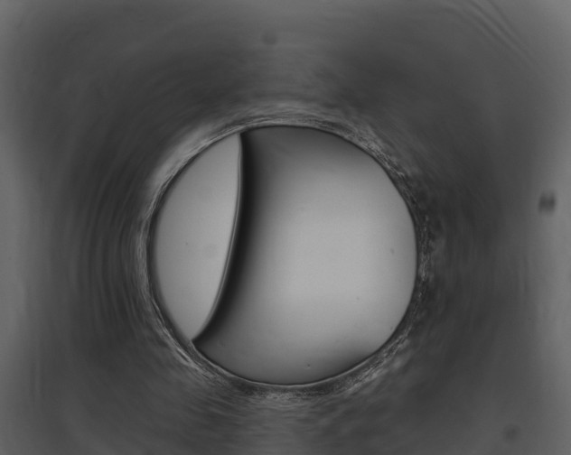 X0000097850341200803140902