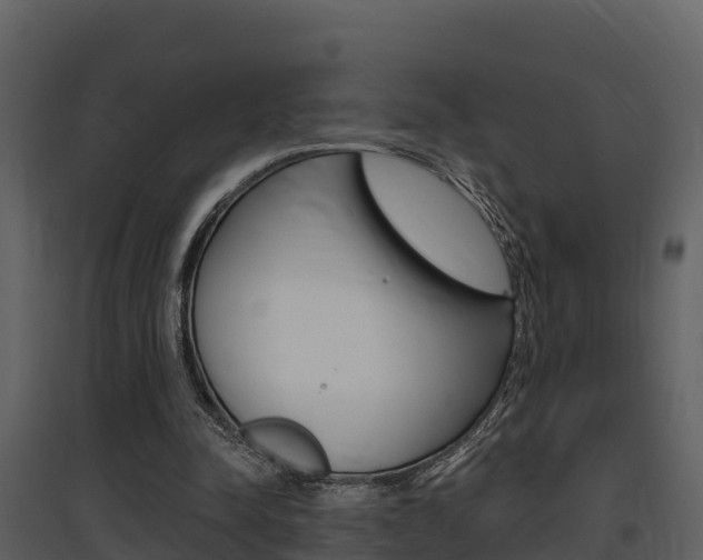 X0000097850342200803140902