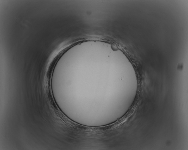 X0000097850343200803140902
