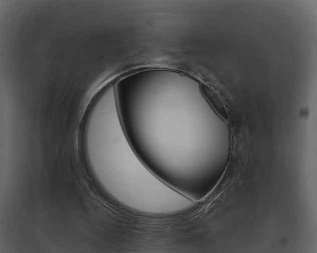 X0000097850344200803140902