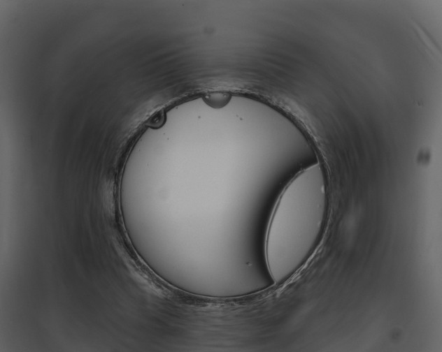 X0000097850345200803140902