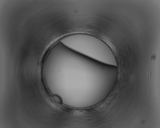 X0000097850346200803140902