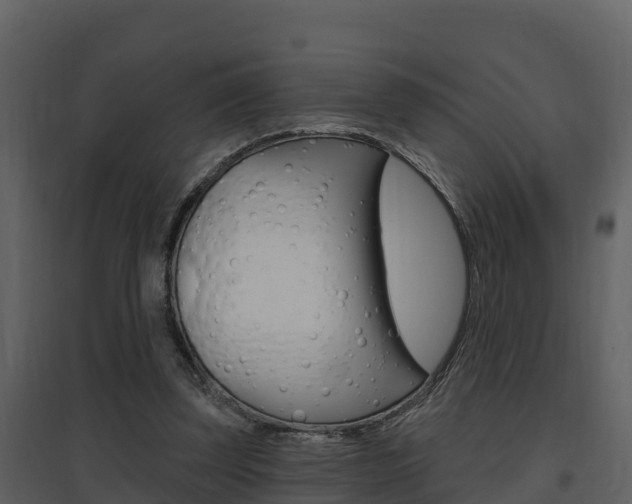 X0000097850347200803140902