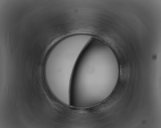 X0000097850348200803140902