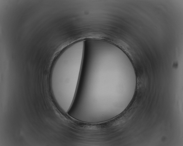 X0000097850349200803140902