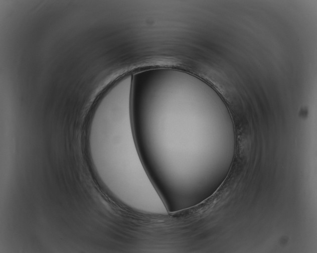X0000097850350200803140902