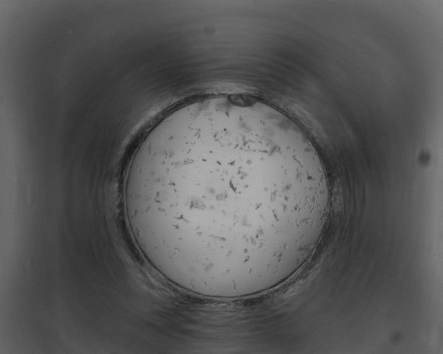 X0000097850351200803140902