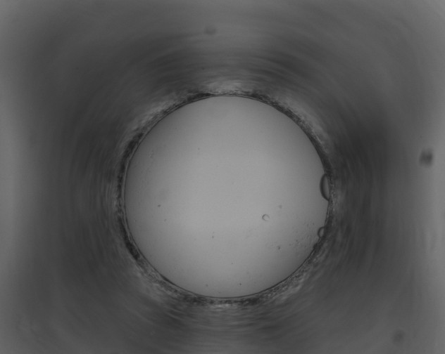 X0000097850353200803140902