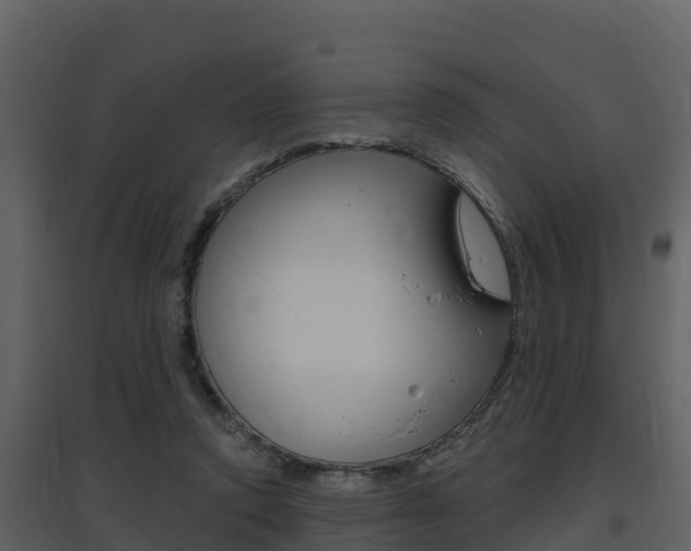 X0000097850354200803140902