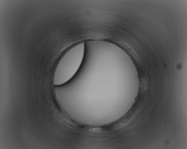 X0000097850355200803140902