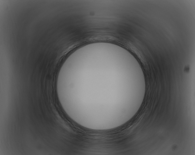 X0000097850356200803140902