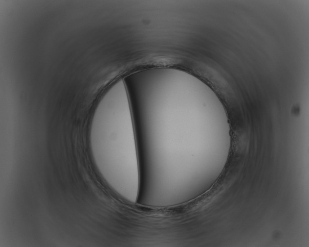 X0000097850358200803140902