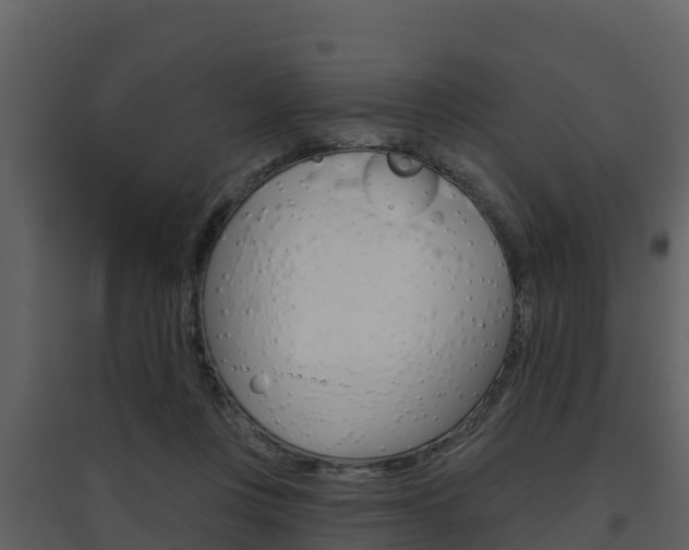 X0000097850359200803140902