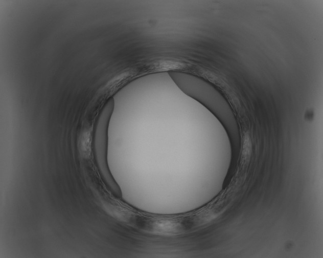 X0000097850360200803140902