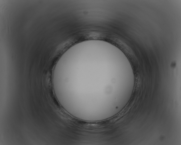 X0000097850361200803140902